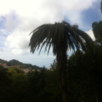 IMG_6180-w640_h478